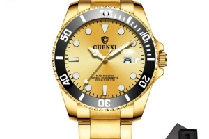 Chenxi Watch - Model 100202CH