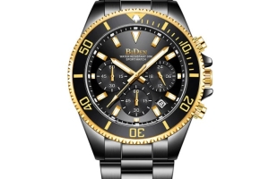 Biden Watch - Model 100503CH